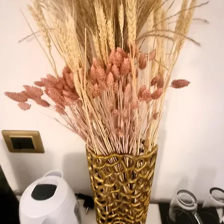 Apartment La Ginestra C&b House And *