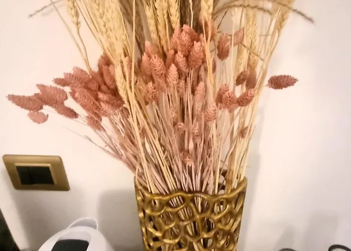 Appartement La Ginestra C&b House And *