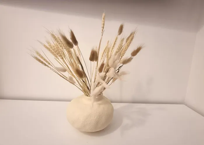 La Ginestra C&b House And